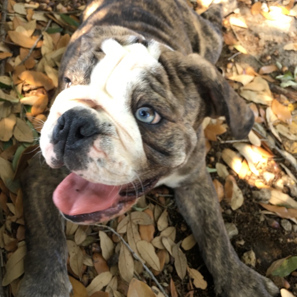 Meet your Posher, Melania